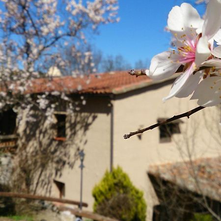 Maison d'hôtes Valdolazaro à Los Navalucillos Extérieur photo