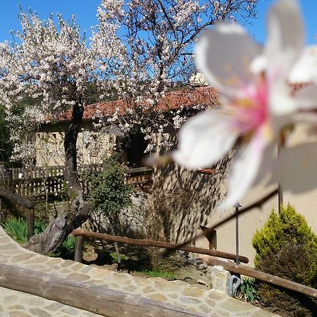 Maison d'hôtes Valdolazaro à Los Navalucillos Extérieur photo